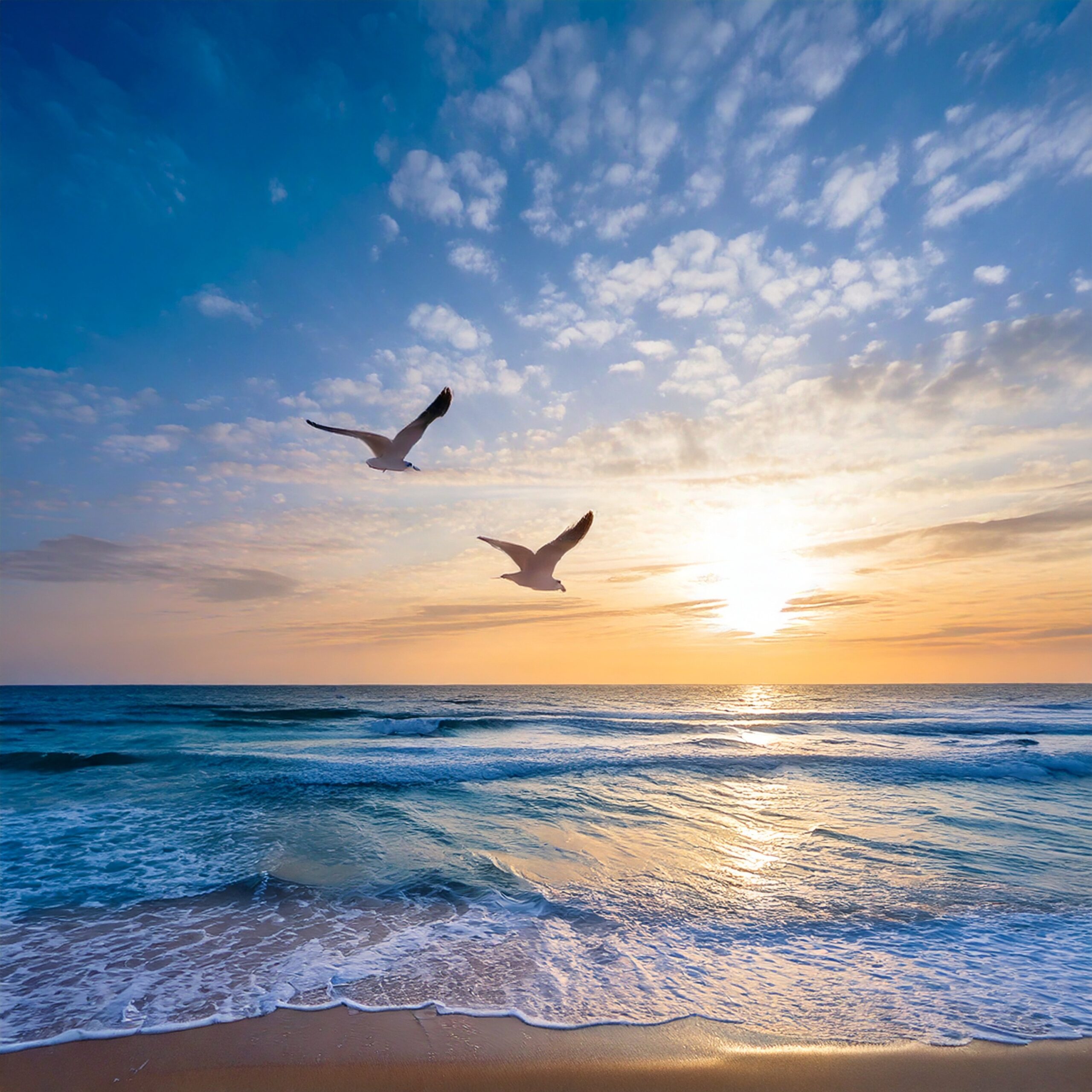 dawn